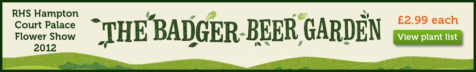 Hampton Court Palace Flower Show - The Badger Beer Garden